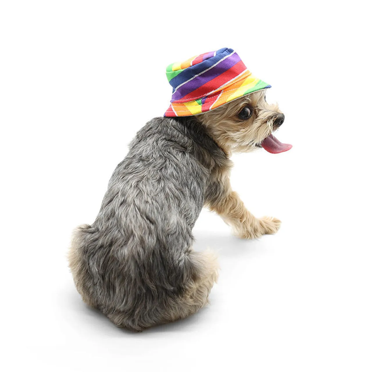 Dogo Pet Rainbow Dog Bucket Hat