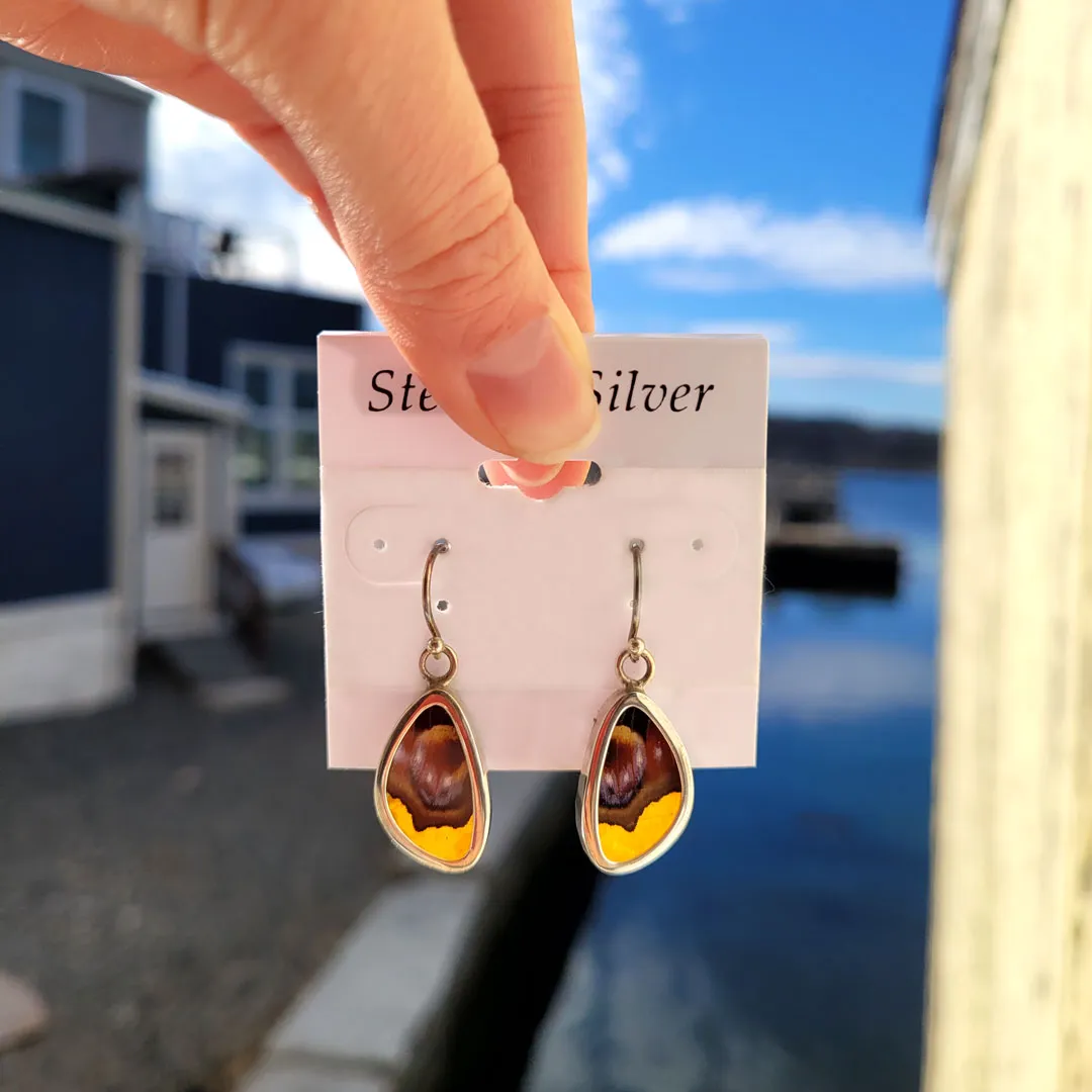 Real Butterfly Wings and Sterling Silver Earrings